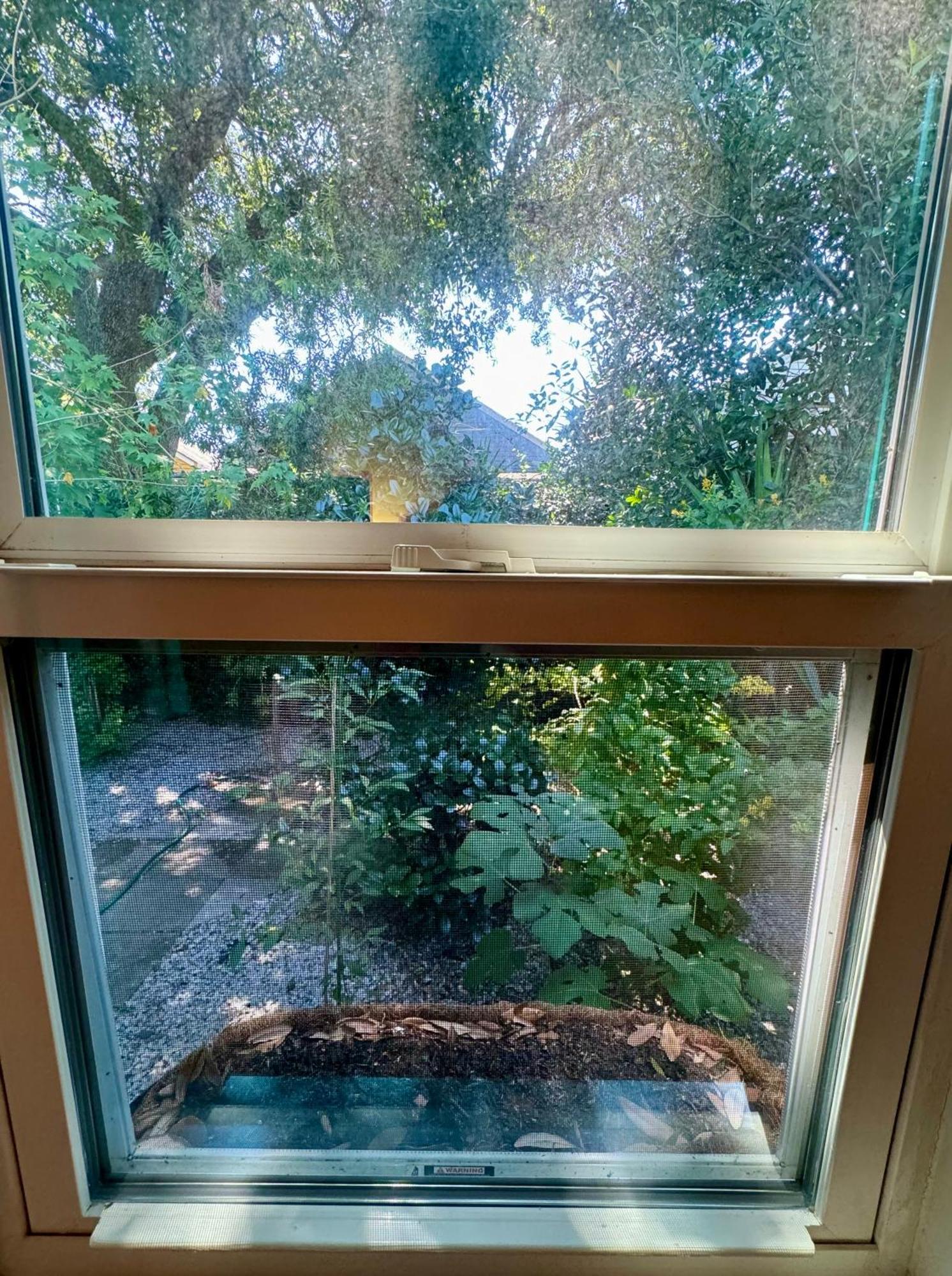 One Bedroom Apartment With Hot Tub 2 Blocks To Magazine Street New Orleans Exteriör bild